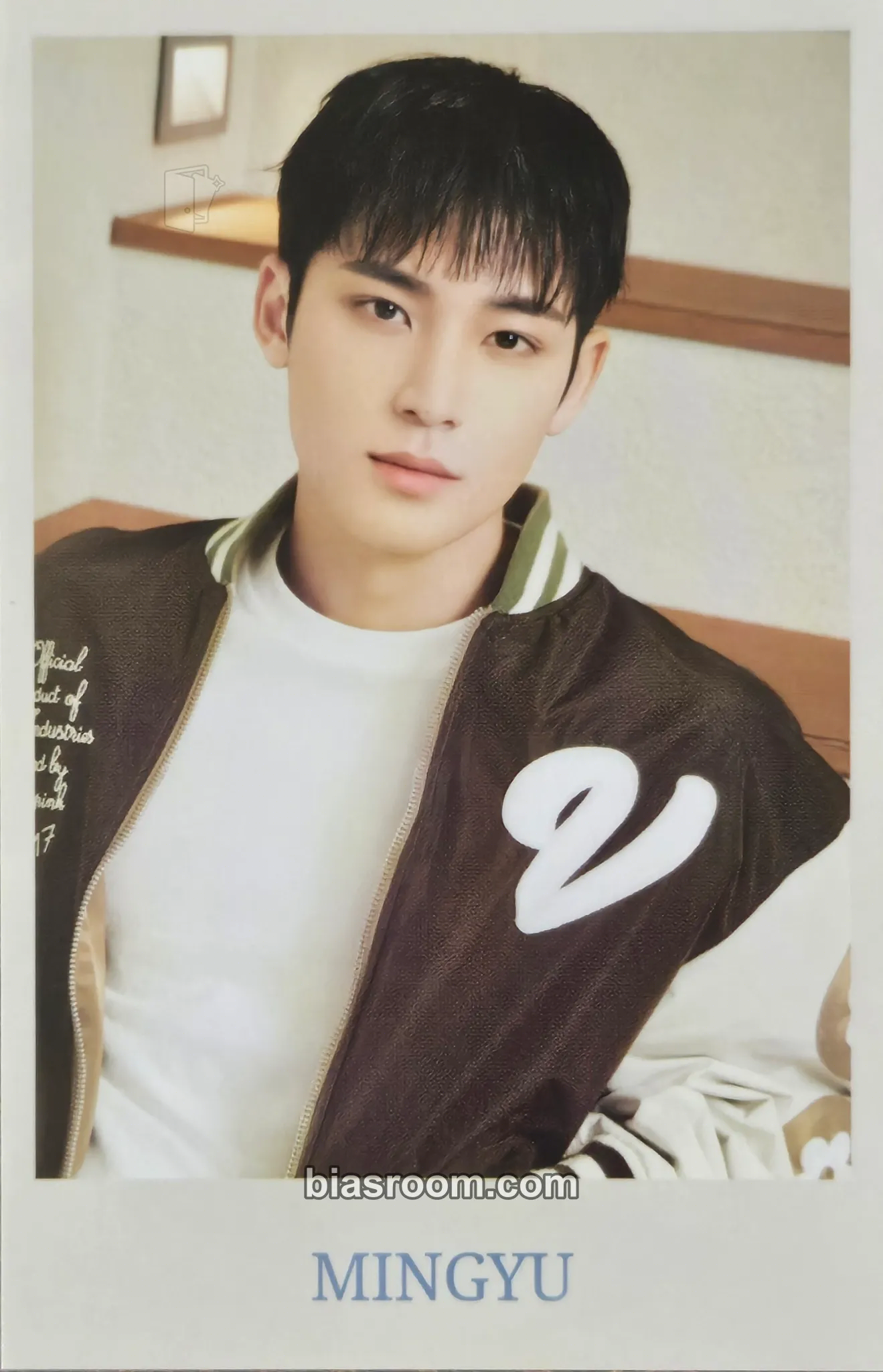 Mingyu 2024 8TH SVT IN CARAT LAND Photocard - SEVENTEEN - SEVENTEEN K-pop photocard