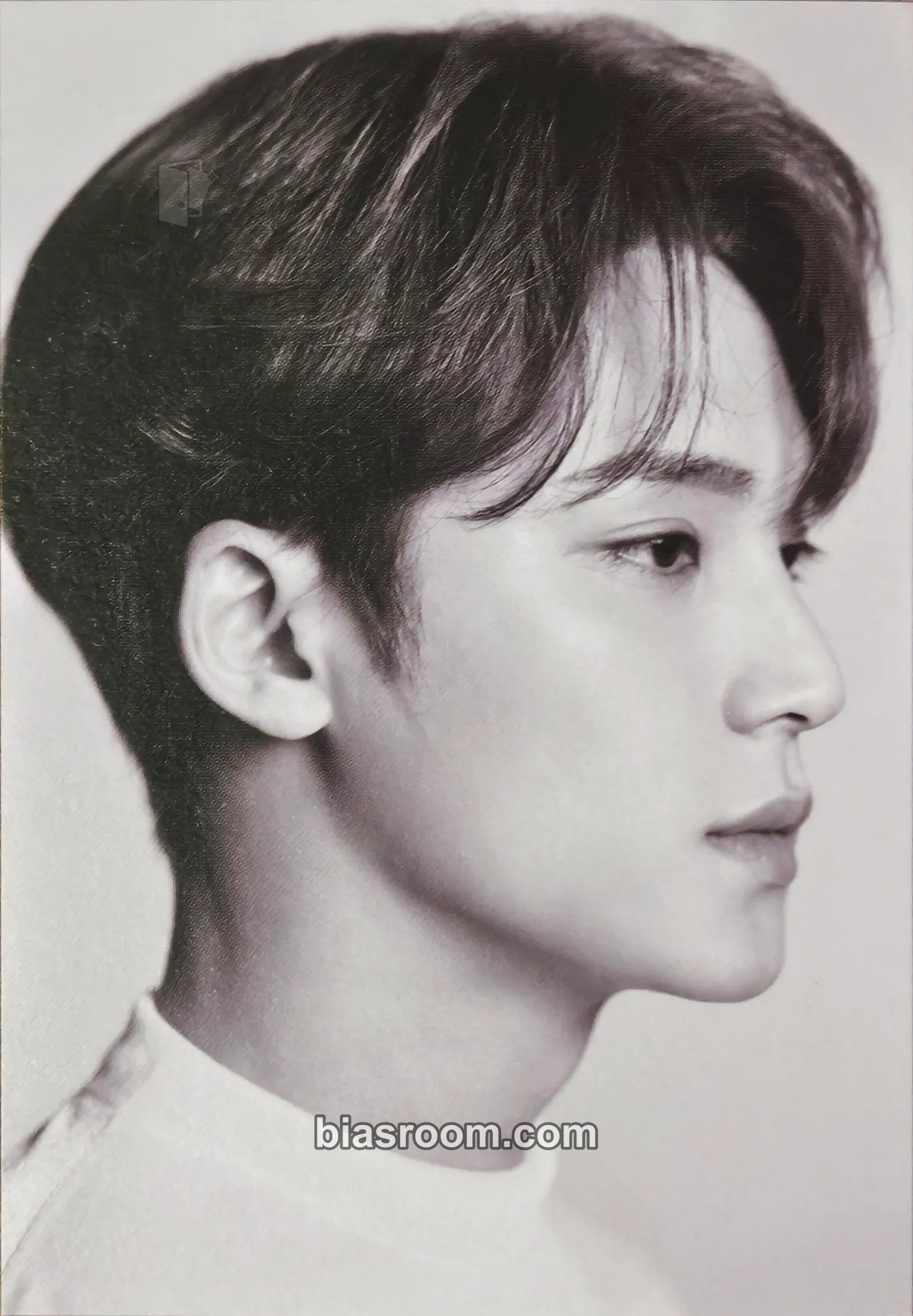 Mingyu Your Choice Photocard - SEVENTEEN - SEVENTEEN K-pop photocard