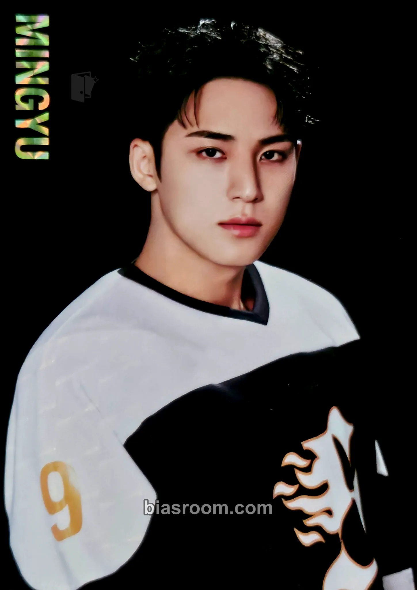 Mingyu 2025 Seventeen's Home Merchandise Photocard - SEVENTEEN - SEVENTEEN K-pop photocard