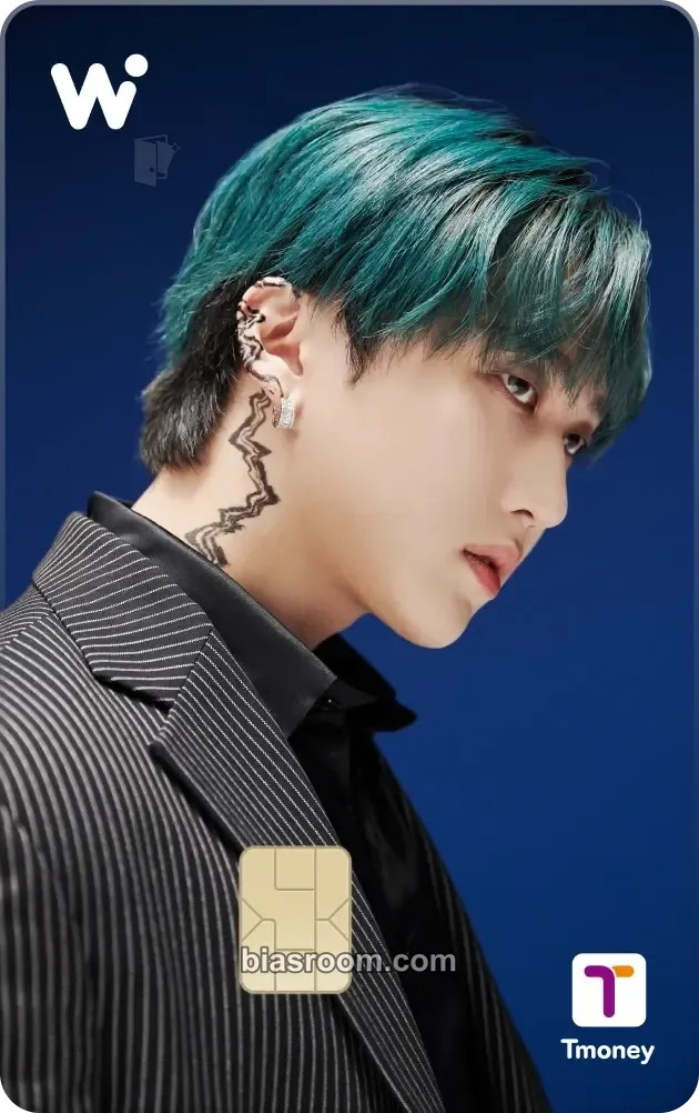 Changbin WOWPASS Transit Cards Photocard - Stray Kids - Stray Kids K-pop photocard