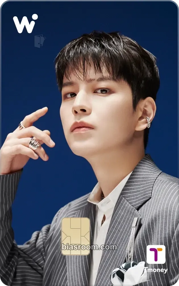 Seungmin WOWPASS Transit Cards Photocard - Stray Kids - Stray Kids K-pop photocard