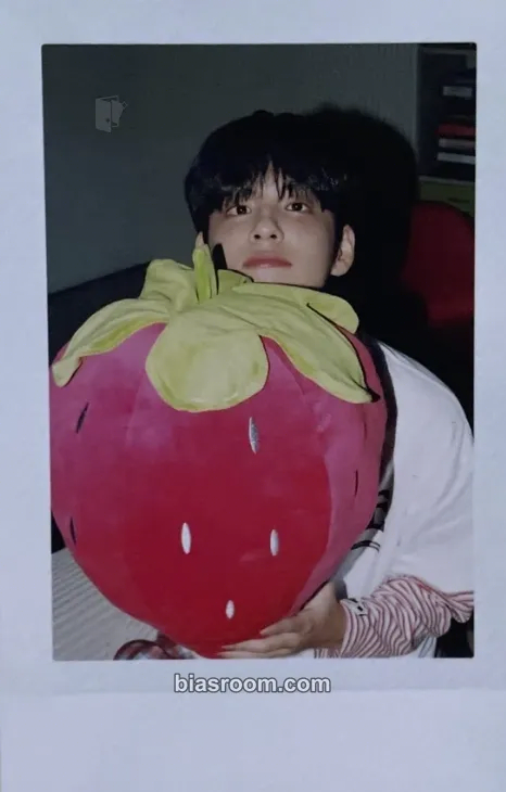 Wonpil 2026 Season's Greetings - The Press Button Photocard - DAY6 - DAY6 K-pop photocard