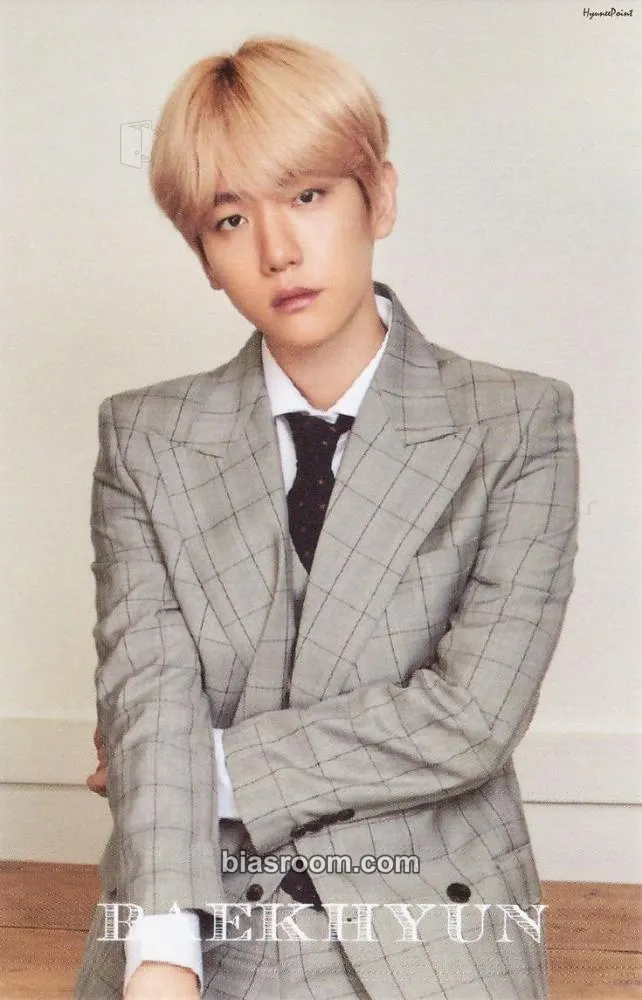 Baekhyun 2020 EXO Season's Greetings Photocard - EXO - EXO K-pop photocard