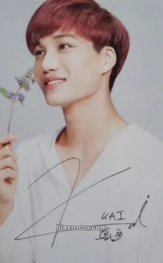 Kai EXO × Nature Republic Photocard - EXO - EXO K-pop photocard