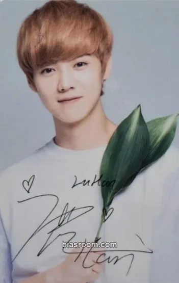 Luhan EXO × Nature Republic Photocard - EXO - EXO K-pop photocard