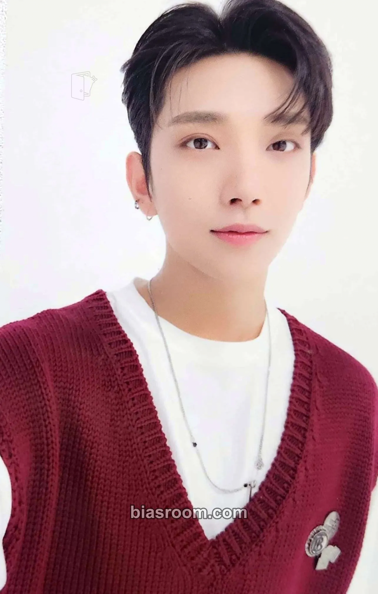 Joshua 2022 Season's Greetings Photocard - SEVENTEEN - SEVENTEEN K-pop photocard