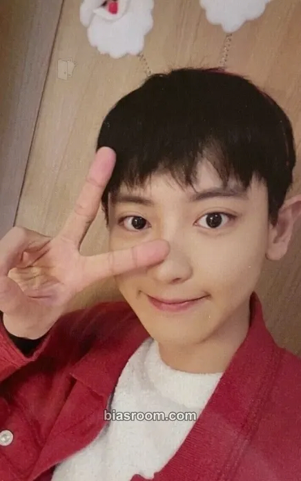 Chanyeol 2022 EXO Pink Christmas MD Photocard - EXO - EXO K-pop photocard