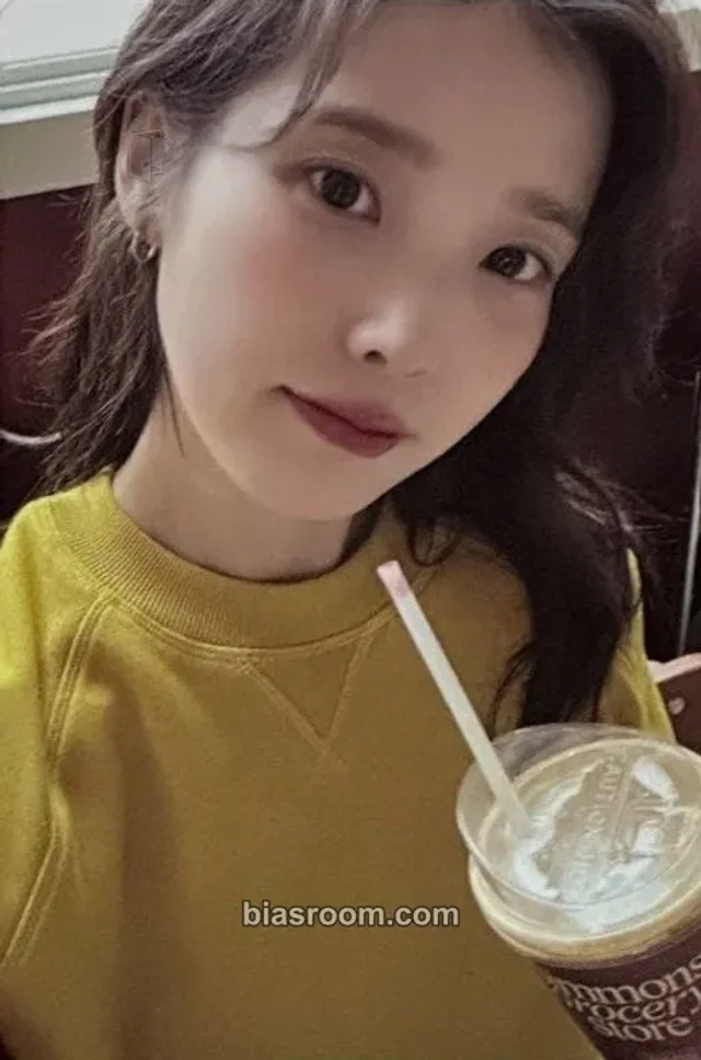 IU - IU - [HEREH] World Tour Concert DVD & Blu-Ray Other DVD version photocard set