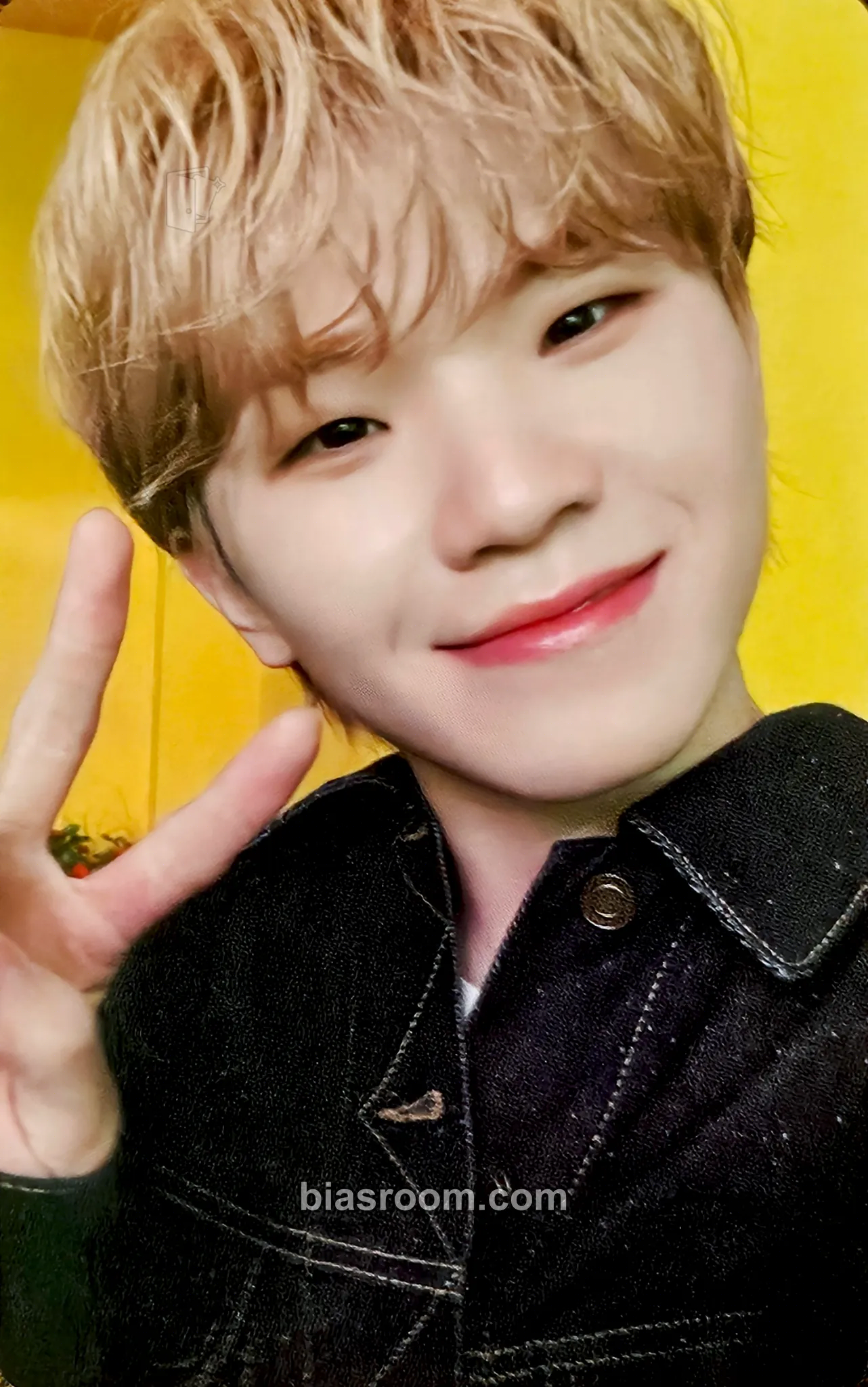 Woozi Power of Love Photocard - SEVENTEEN - SEVENTEEN K-pop photocard