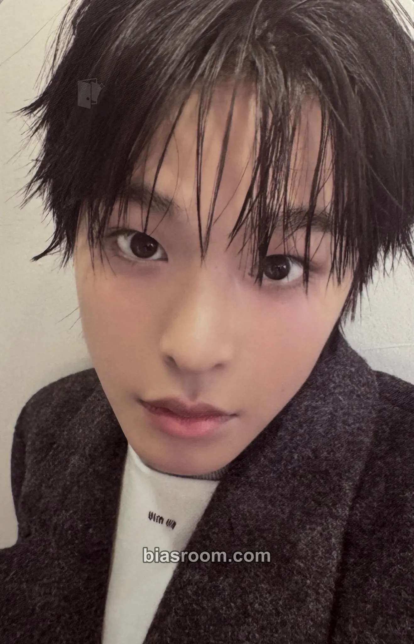 Riku COLOR Photocard - NCT WISH - NCT WISH K-pop photocard