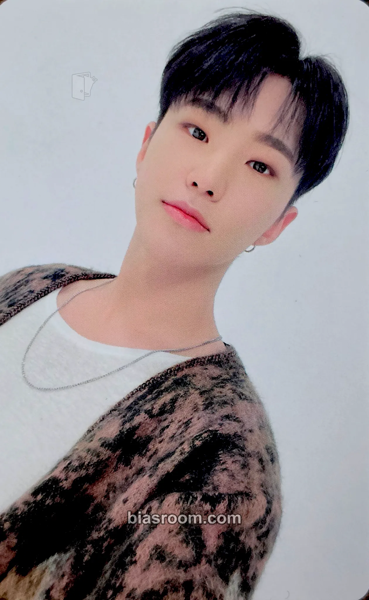 Hoshi 2022 Season's Greetings Photocard - SEVENTEEN - SEVENTEEN K-pop photocard