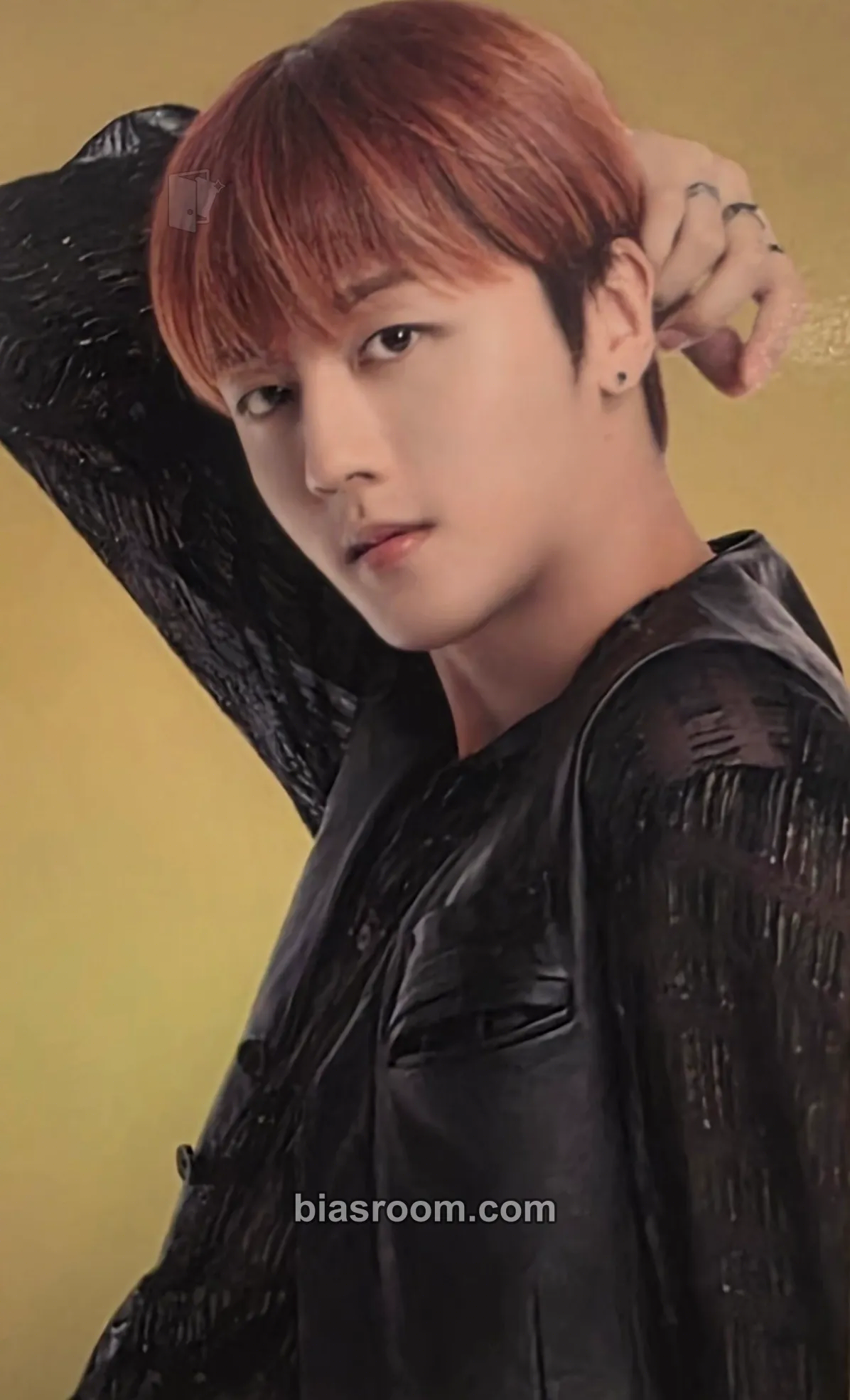 Youngbin GOLDEN ECHO Photocard - SF9 - SF9 K-pop photocard