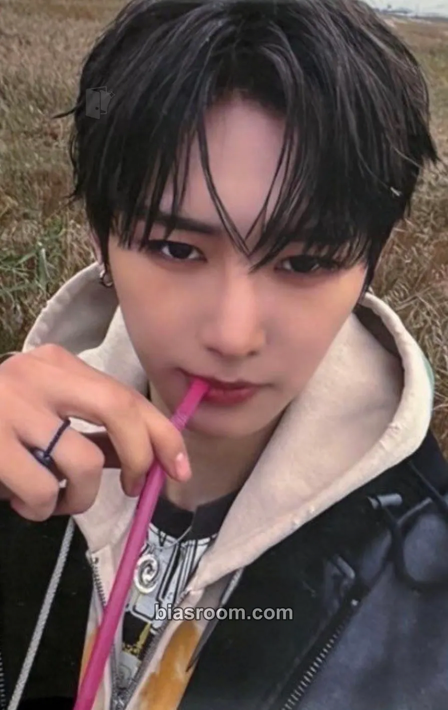 Anxin EUPHORIA Photocard - ALPHA DRIVE ONE - ALPHA DRIVE ONE K-pop photocard
