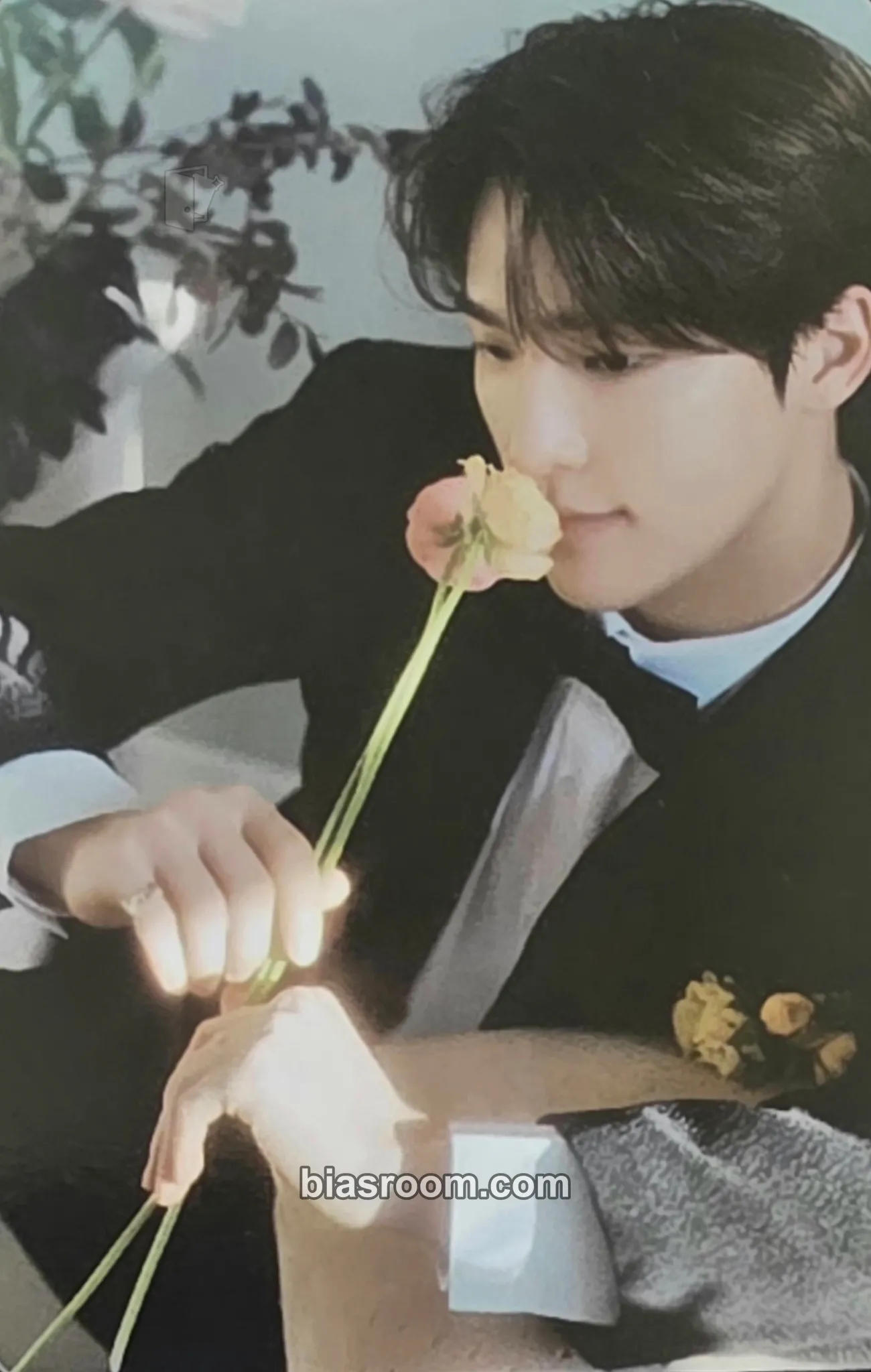 Dino FML Photocard - SEVENTEEN - SEVENTEEN K-pop photocard