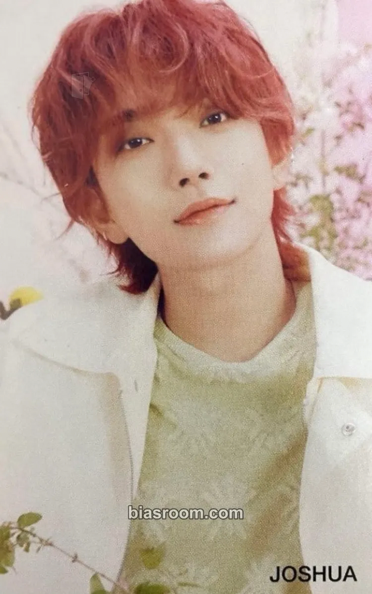 Joshua Always Yours Photocard - SEVENTEEN - SEVENTEEN K-pop photocard