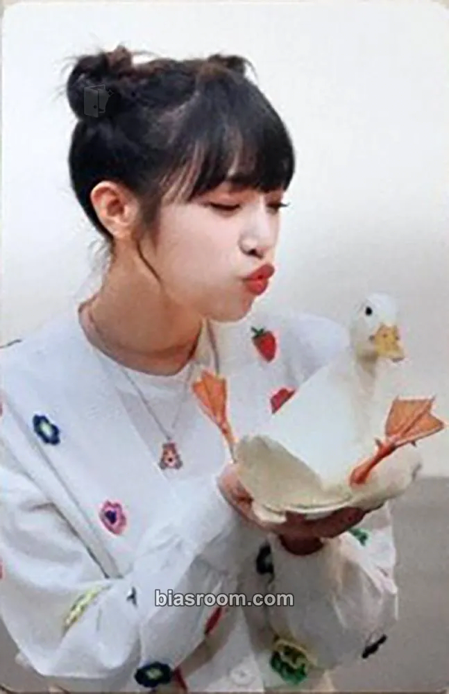 Yena Animal Detective MD Photocard - Yena K-pop photocard