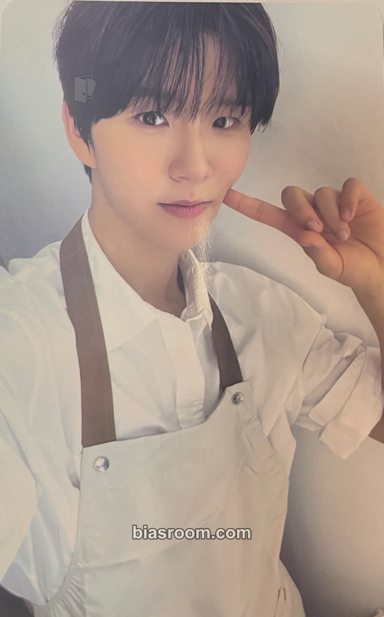 Jaehee Steady Photocard - NCT WISH - NCT WISH K-pop photocard