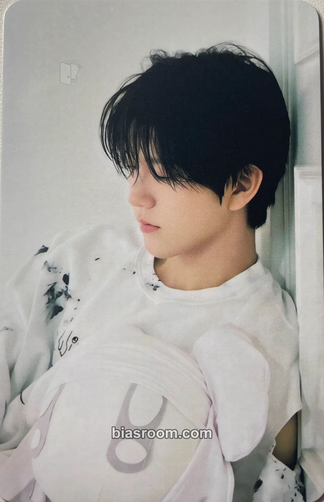 Jaehee Steady Photocard - NCT WISH - NCT WISH K-pop photocard