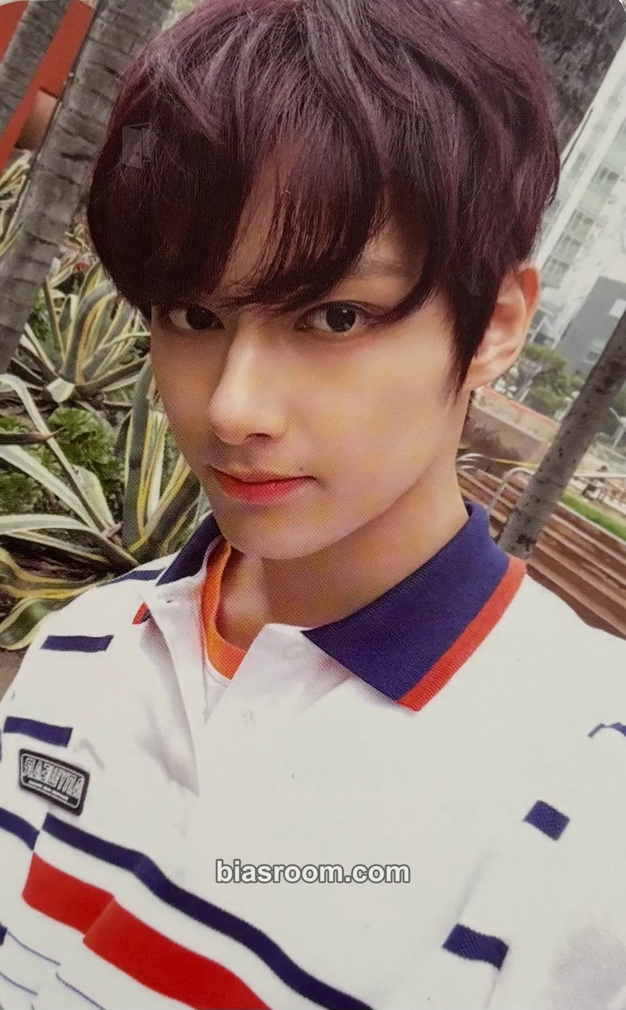 Jun Heng:garæ Photocard - SEVENTEEN - SEVENTEEN K-pop photocard