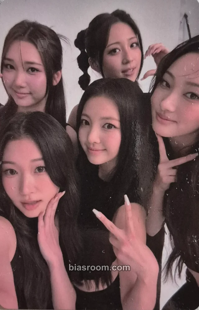 VVS - D.I.M.M Album album photocard