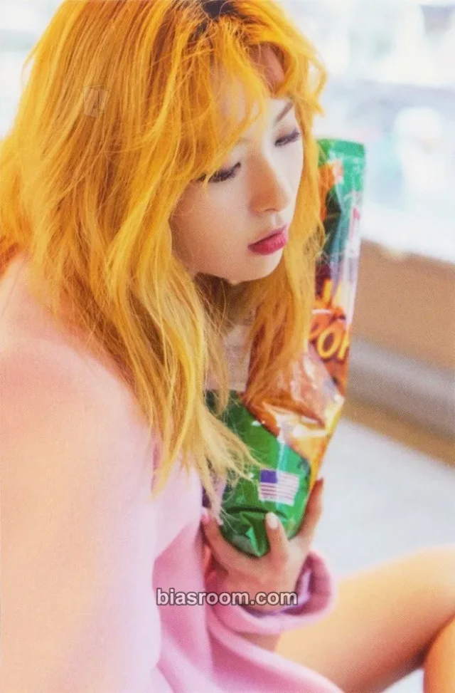 Seulgi Red Velvet 2017 Season's Greetings K-pop photocard