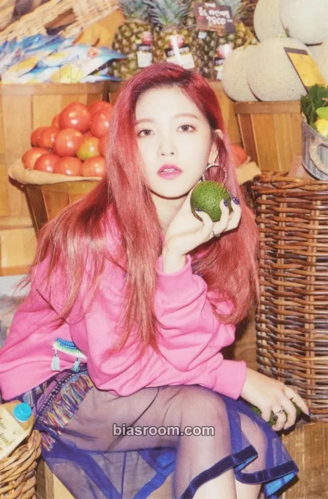 Yeri Red Velvet 2017 Season's Greetings K-pop photocard