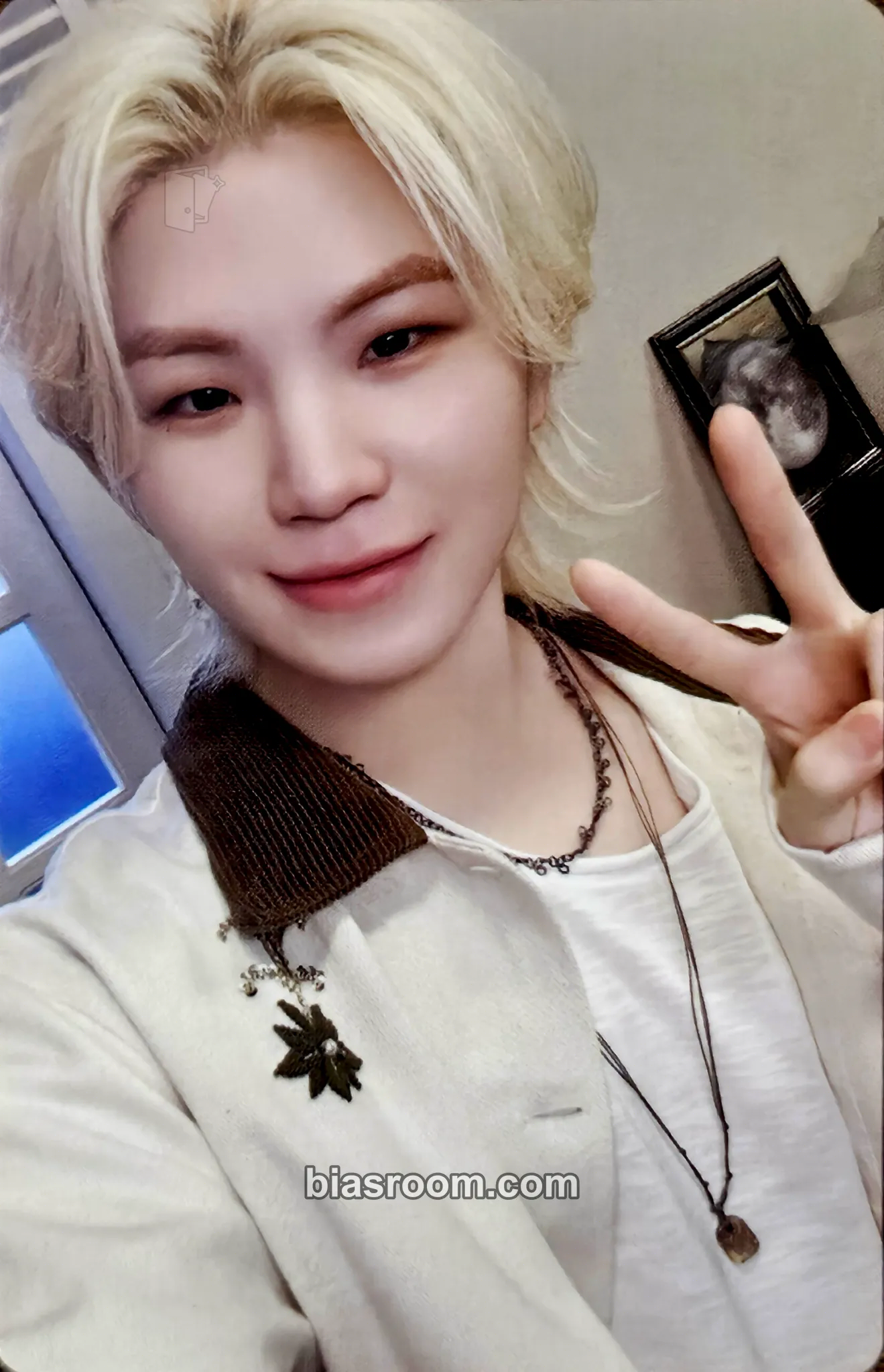 Woozi Birthday Boxes/Merch Photocard - SEVENTEEN - SEVENTEEN K-pop photocard