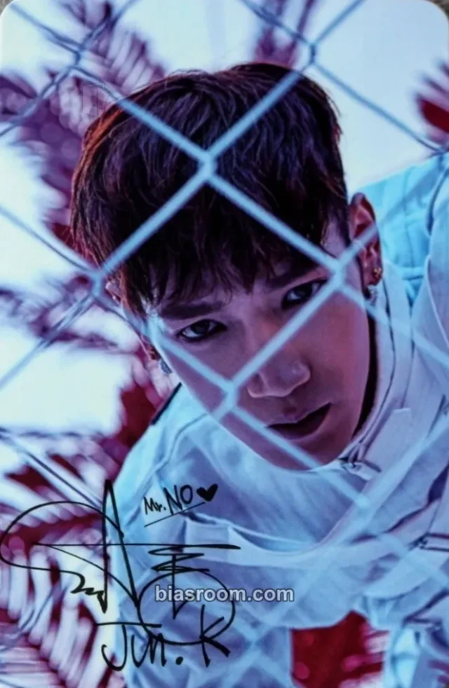 2PM - Jun. K - Mr. No Love Album album photocard