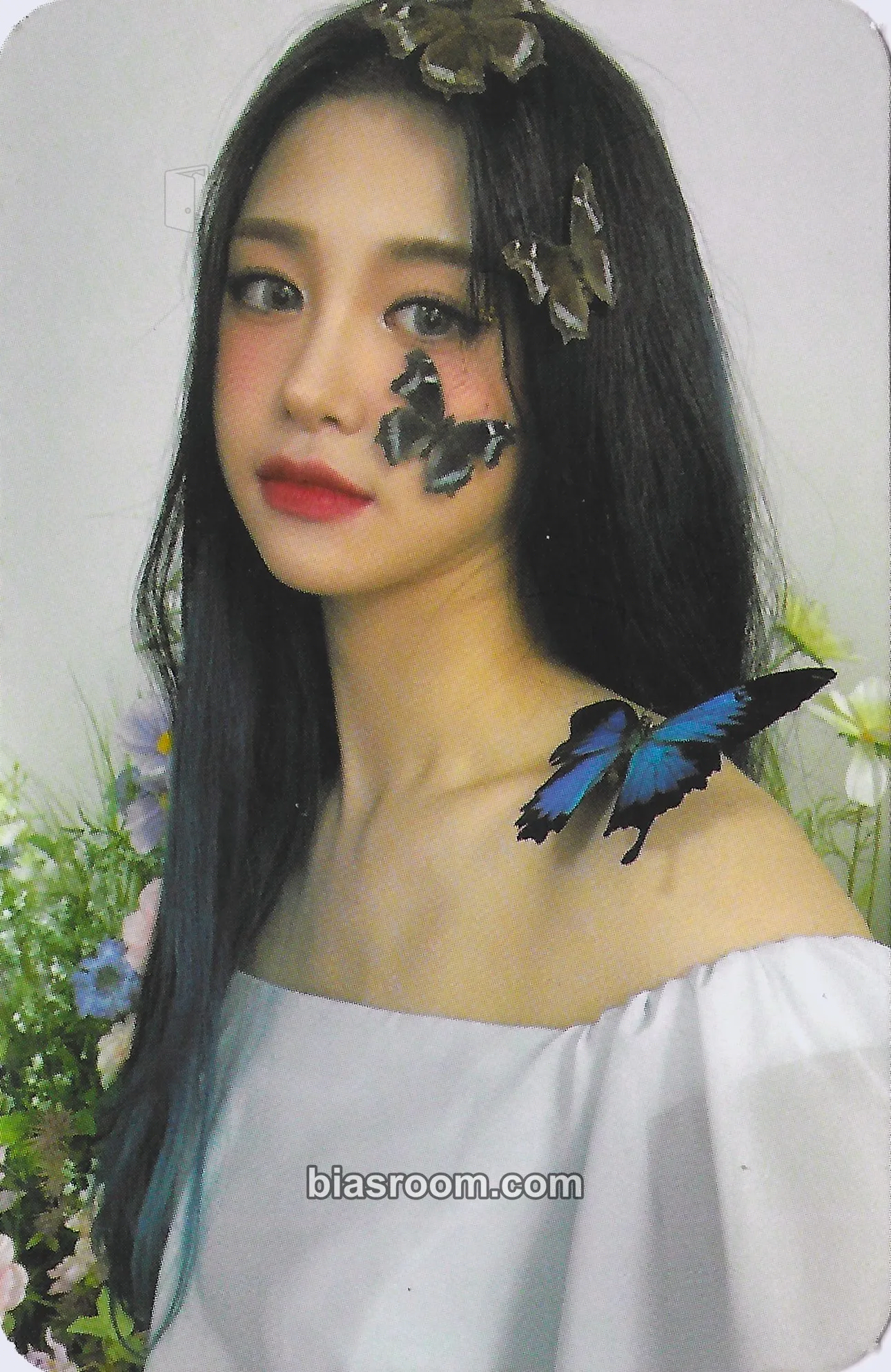 Lola Fairy Forest: Bravery Photocard - PIXY - PIXY K-pop photocard