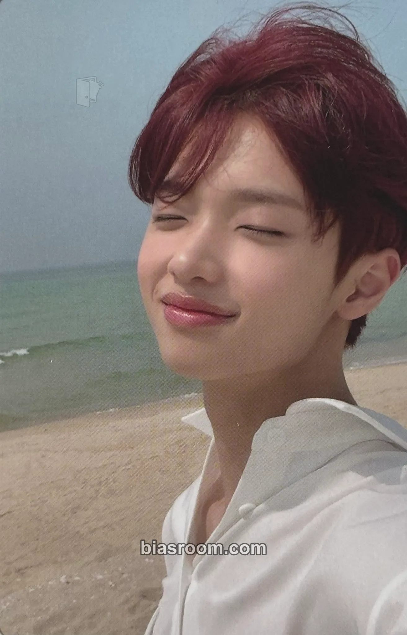 Dongpyo Splash Photocard - MIRAE - MIRAE K-pop photocard