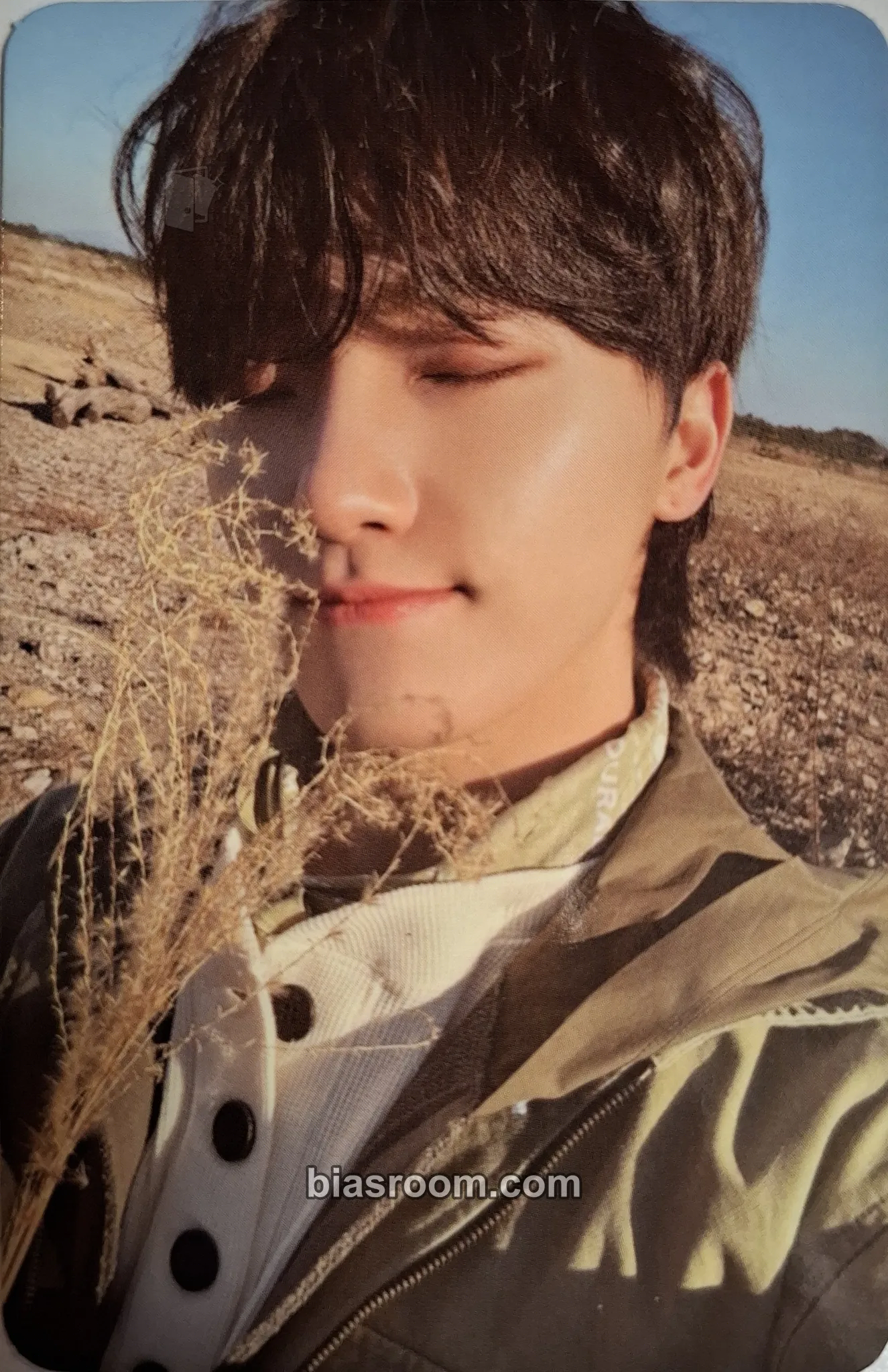 Dino Face the Sun Photocard - SEVENTEEN - SEVENTEEN K-pop photocard