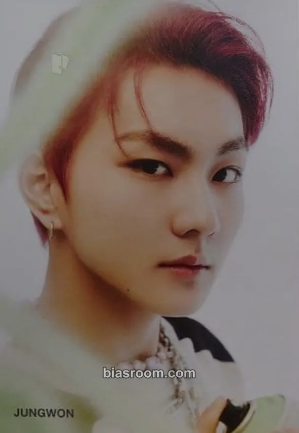 Jungwon 定め (SADAME) Photocard - ENHYPEN - ENHYPEN K-pop photocard