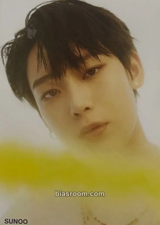 Sunoo 定め (SADAME) Photocard - ENHYPEN - ENHYPEN K-pop photocard