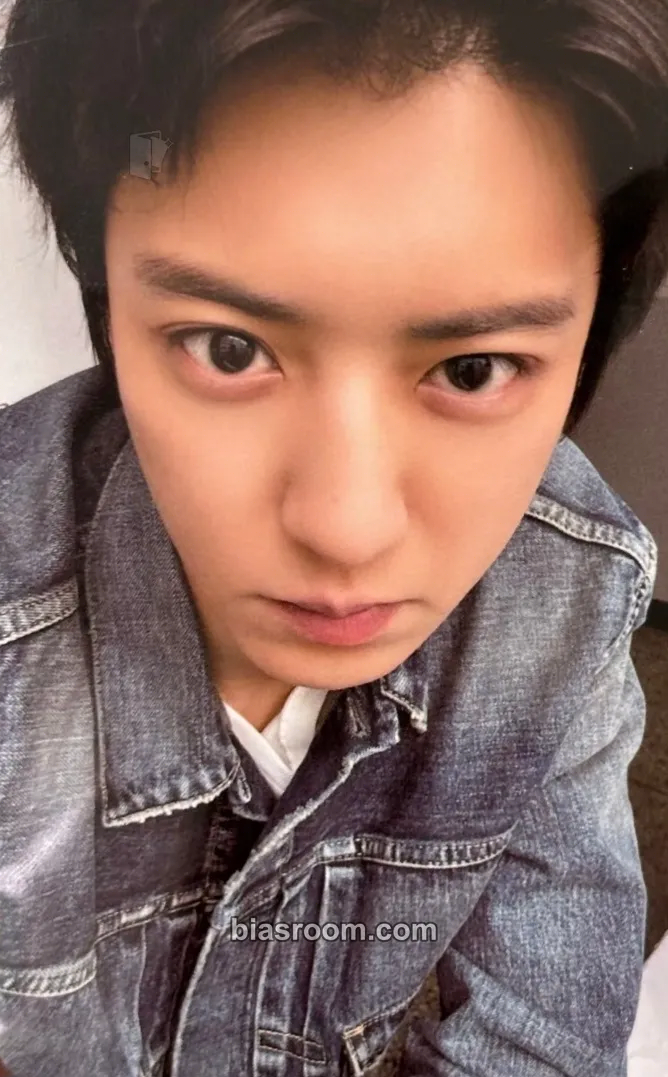 Chanyeol REVERXE Photocard - EXO - EXO K-pop photocard