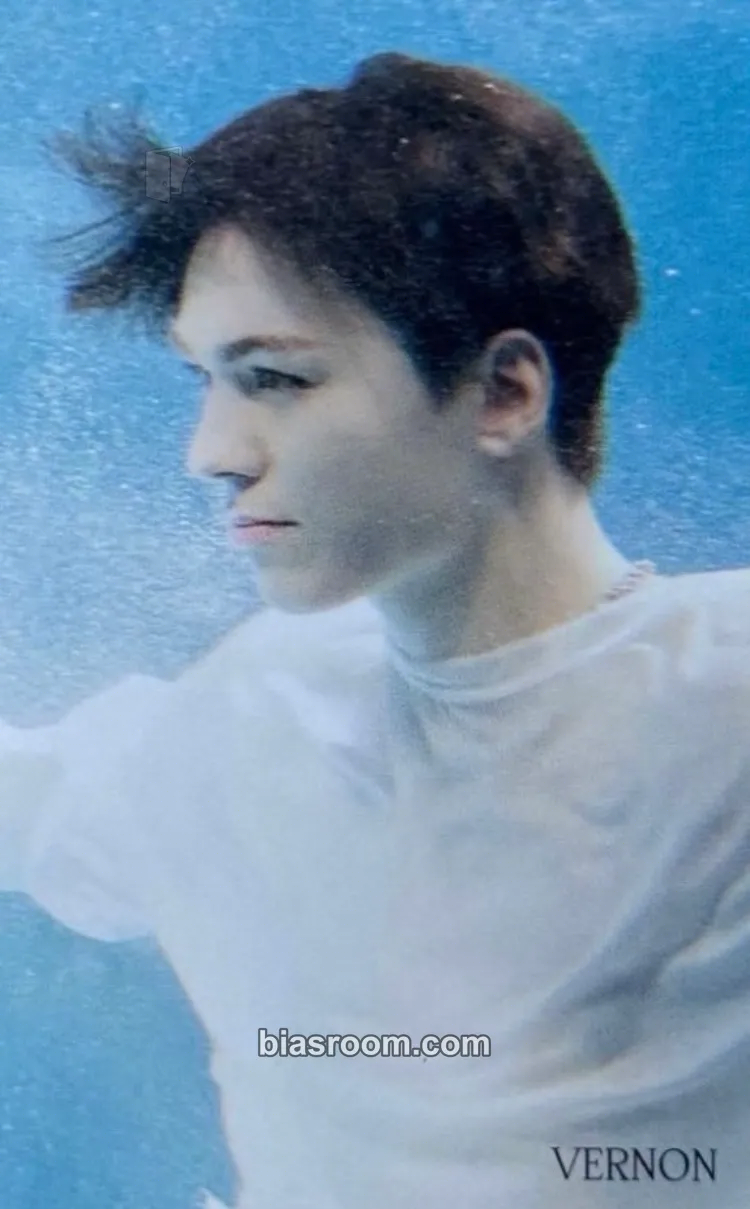 Vernon Face the Sun Photocard - SEVENTEEN - SEVENTEEN K-pop photocard
