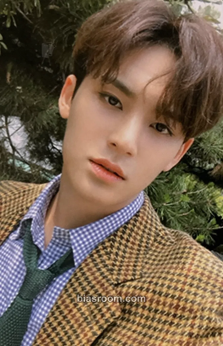 Mingyu An Ode Photocard - SEVENTEEN - SEVENTEEN K-pop photocard