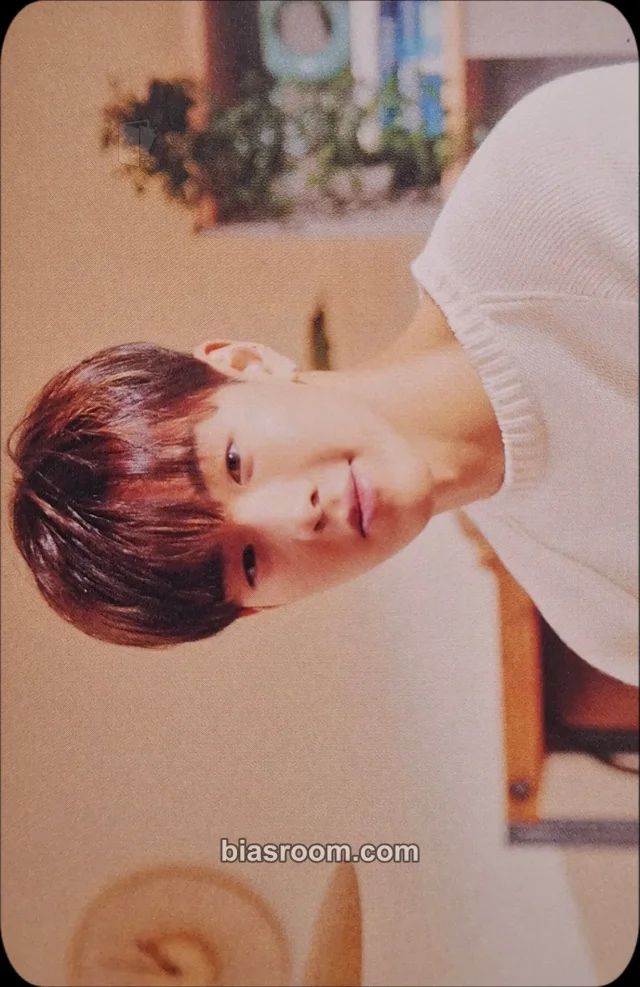 MONSTA X - Shownu - Flavors of Love Album horizontal album photocard japanese album