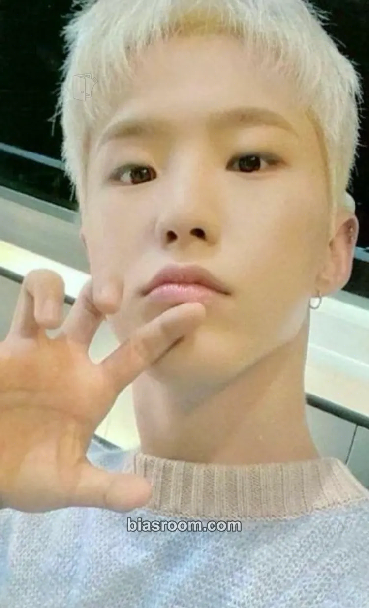 Hoshi SECTOR 17 Photocard - SEVENTEEN - SEVENTEEN K-pop photocard