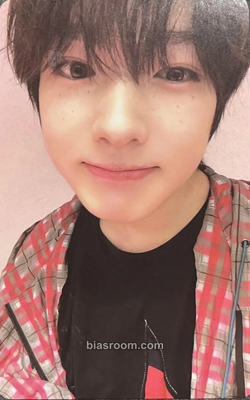 Sakuya Steady Photocard - NCT WISH - NCT WISH K-pop photocard