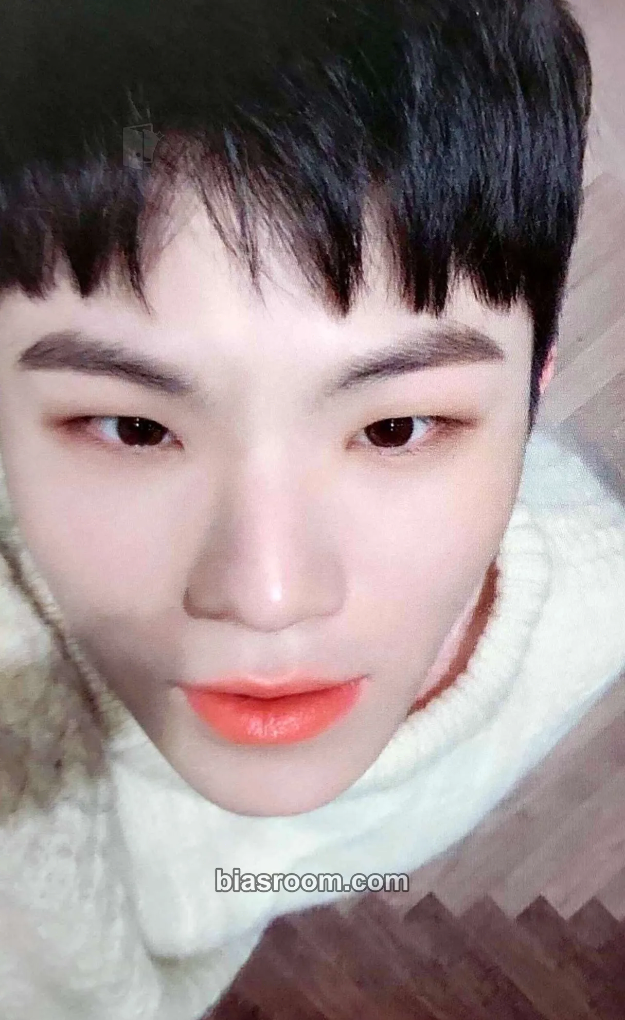Woozi You Made My Dawn Photocard - SEVENTEEN - SEVENTEEN K-pop photocard