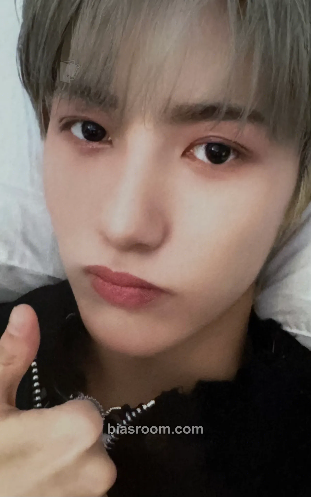 Renjun 2024 Season’s Greetings Photocard - NCT DREAM - NCT DREAM K-pop photocard