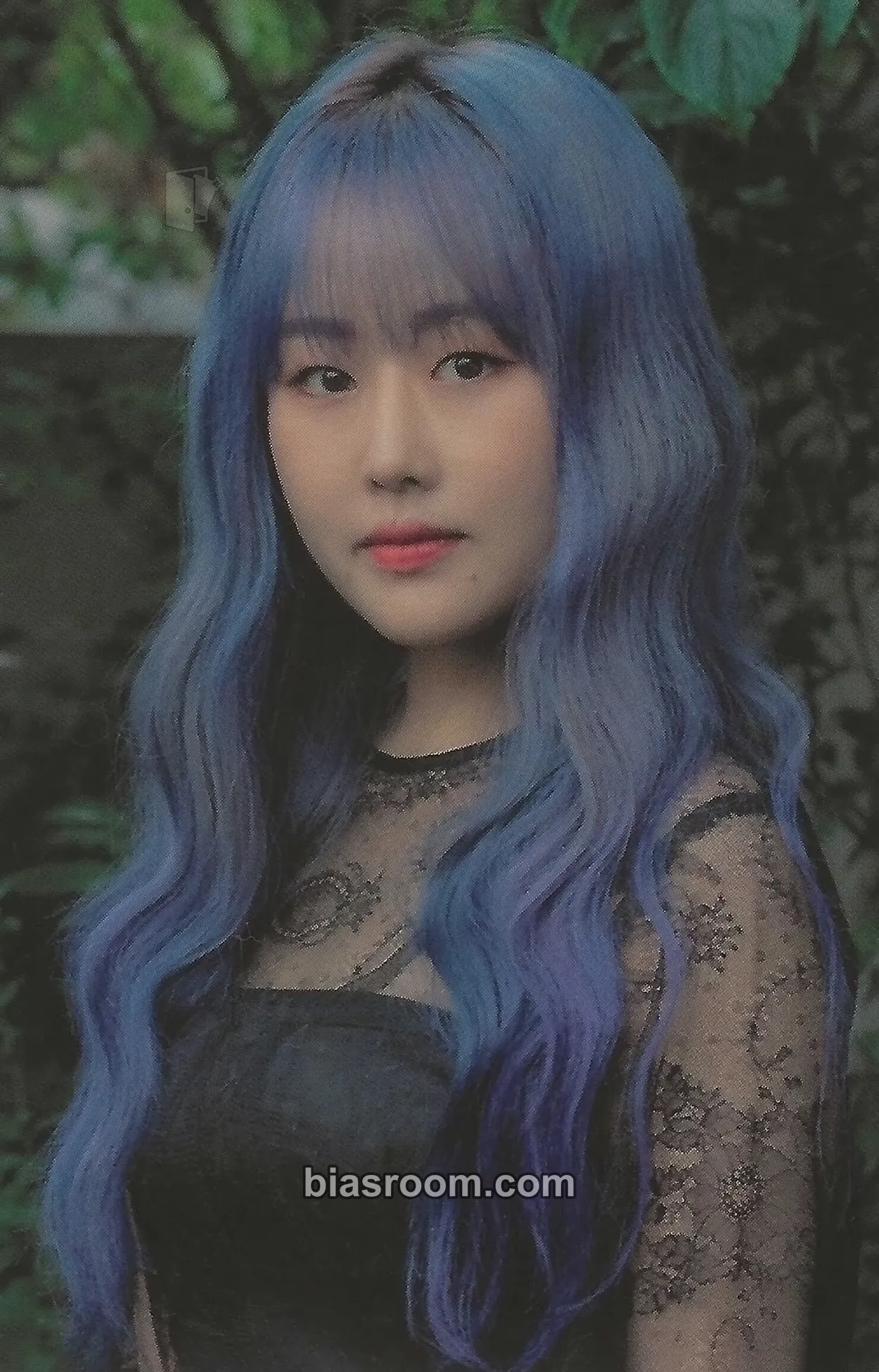 Lee Sujeong (Baby Soul) Deep Forest Photocard - Lovelyz - Lovelyz K-pop photocard