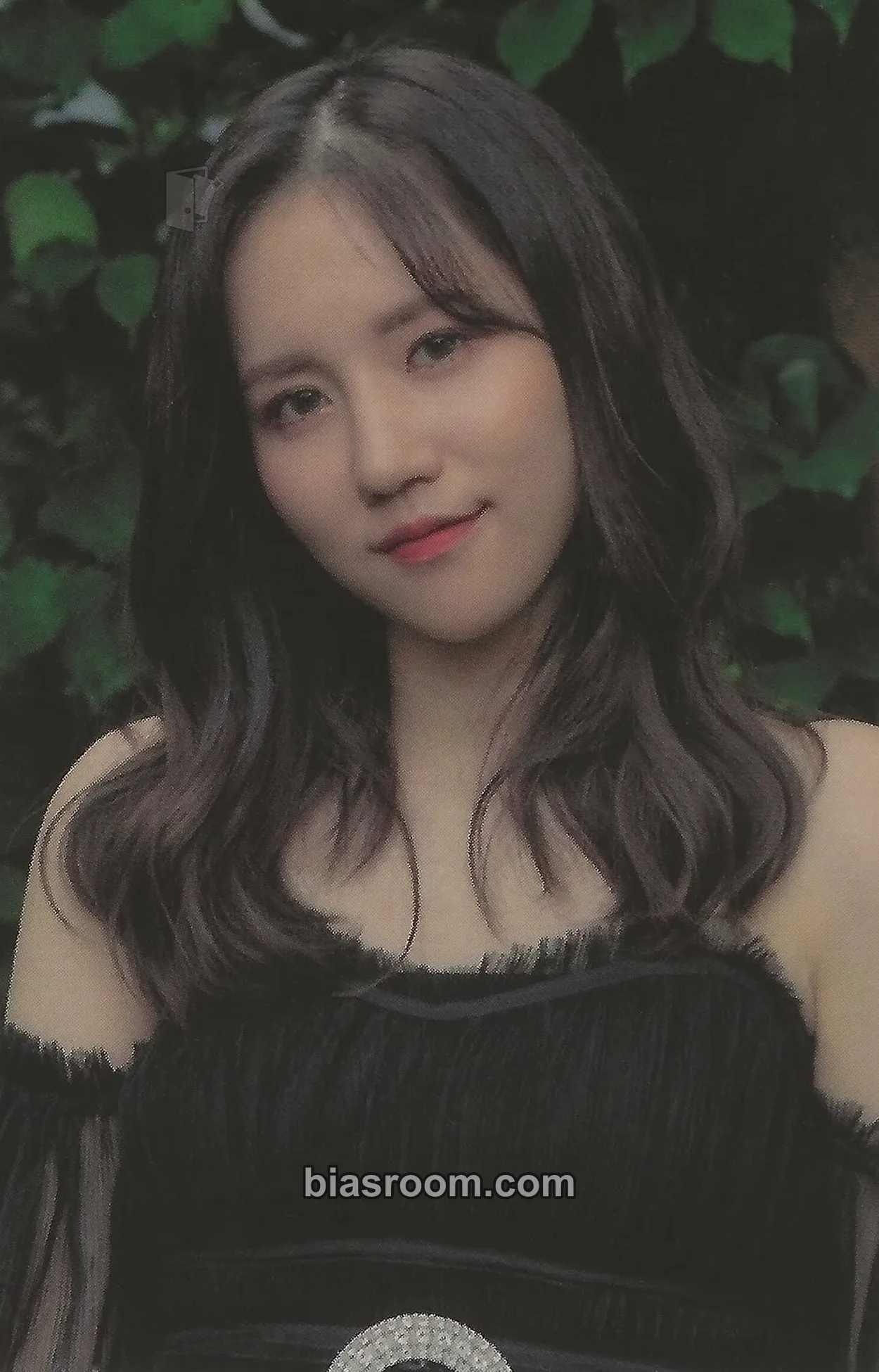 Jin Deep Forest Photocard - Lovelyz - Lovelyz K-pop photocard