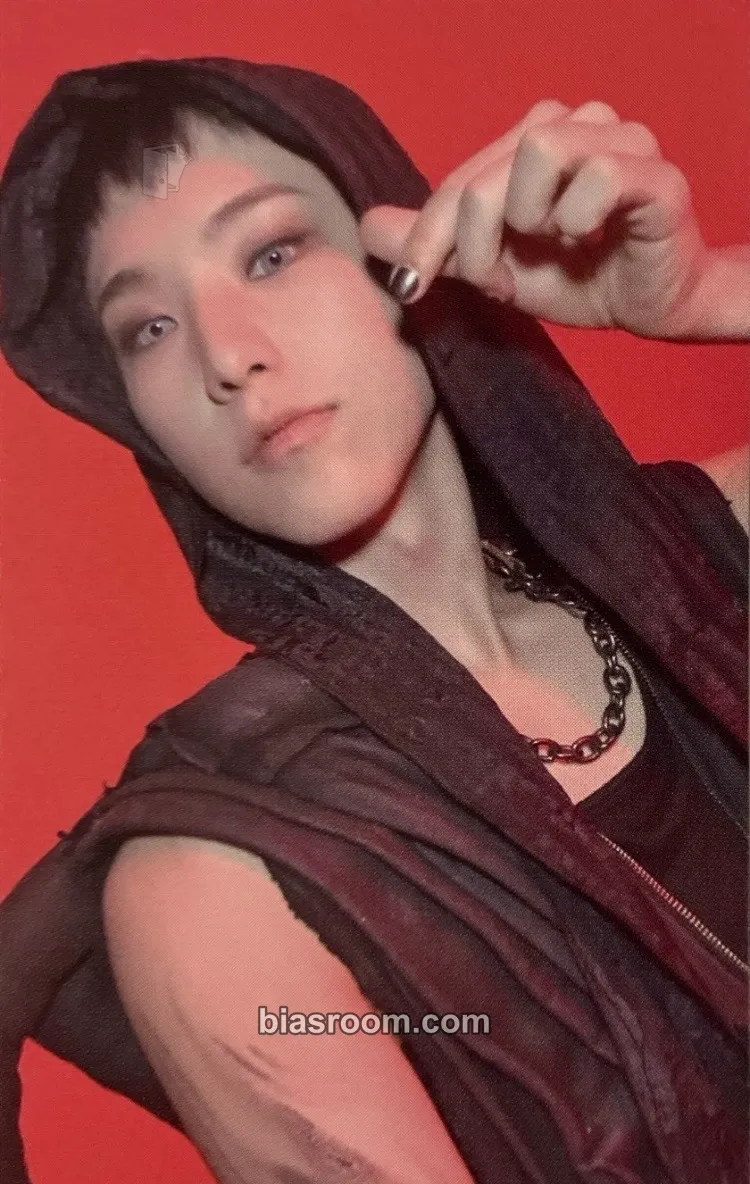 Hoshi HAPPY BURSTDAY Photocard - SEVENTEEN - SEVENTEEN K-pop photocard