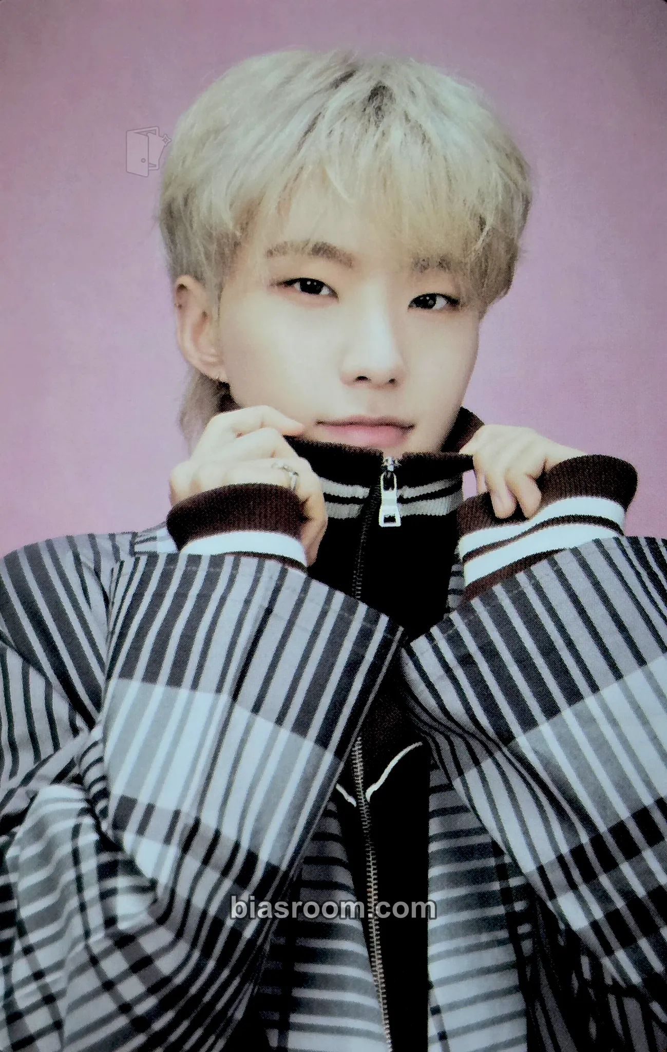 Hoshi 2024 8TH SVT IN CARAT LAND Photocard - SEVENTEEN - SEVENTEEN K-pop photocard