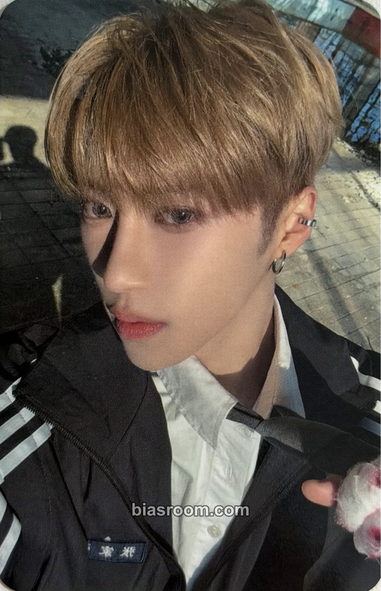 Arno EUPHORIA Photocard - ALPHA DRIVE ONE - ALPHA DRIVE ONE K-pop photocard