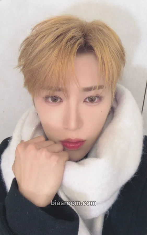 Arno EUPHORIA Photocard - ALPHA DRIVE ONE - ALPHA DRIVE ONE K-pop photocard