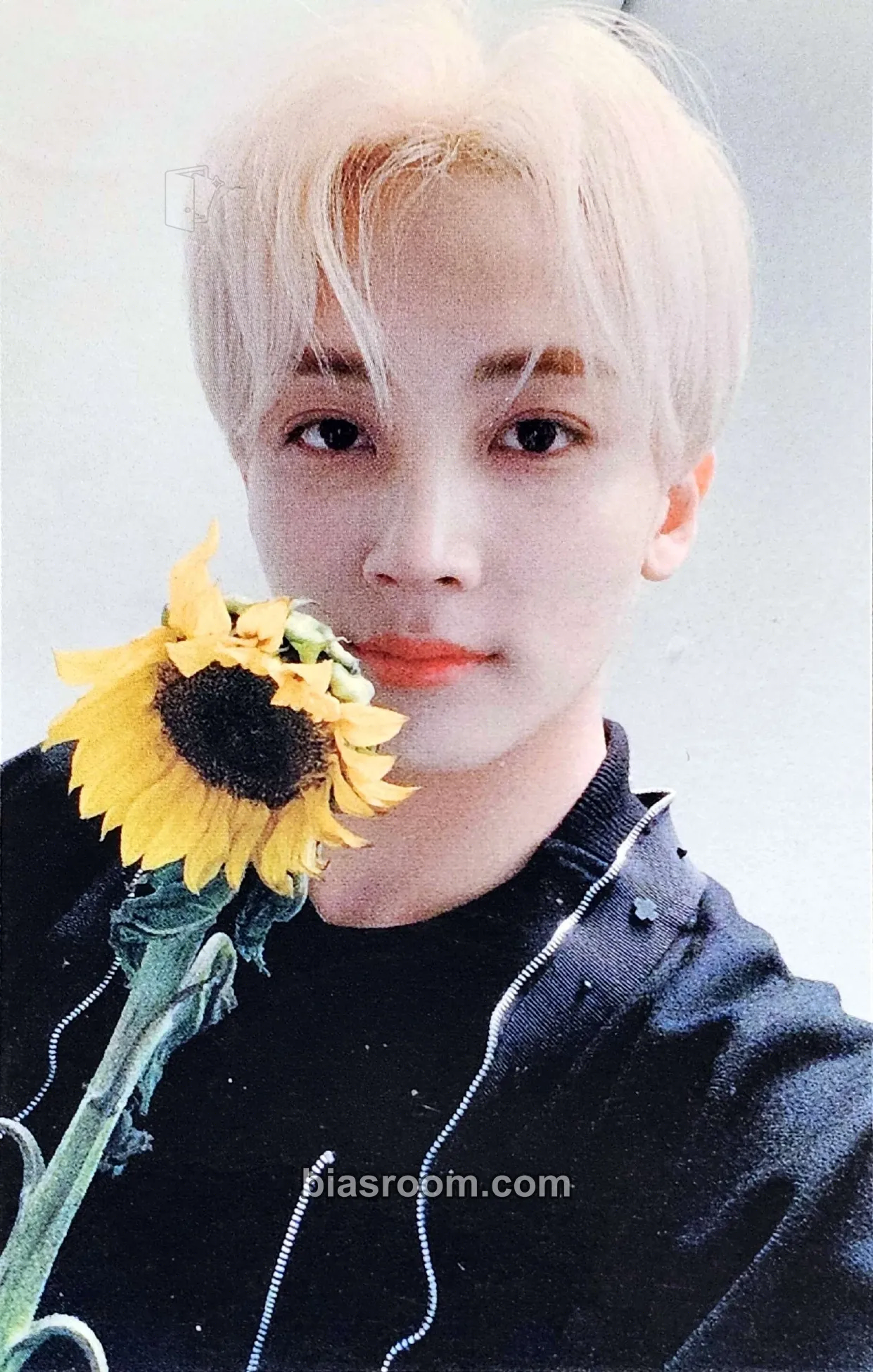 Jeonghan You Made My Dawn Photocard - SEVENTEEN - SEVENTEEN K-pop photocard