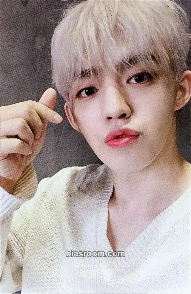 S.Coups SEVENTEEN HIT - Digital Single K-pop photocard