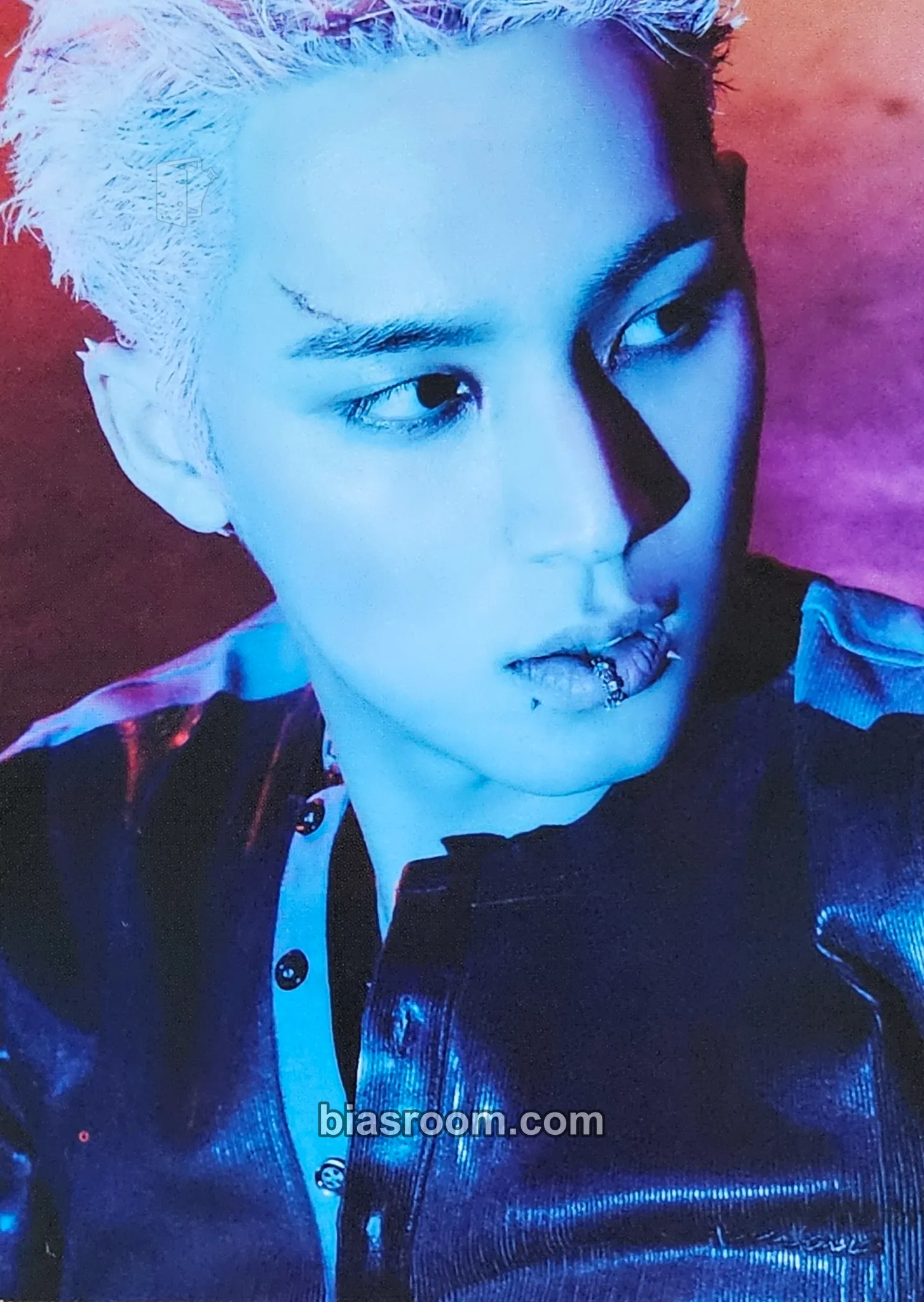 Mingyu HAPPY BURSTDAY Photocard - SEVENTEEN - SEVENTEEN K-pop photocard